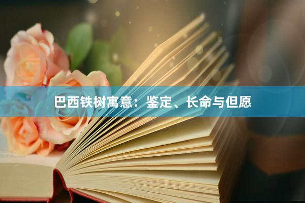 巴西铁树寓意：鉴定、长命与但愿